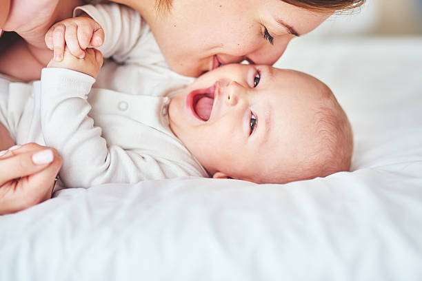Baby and bottle warmer